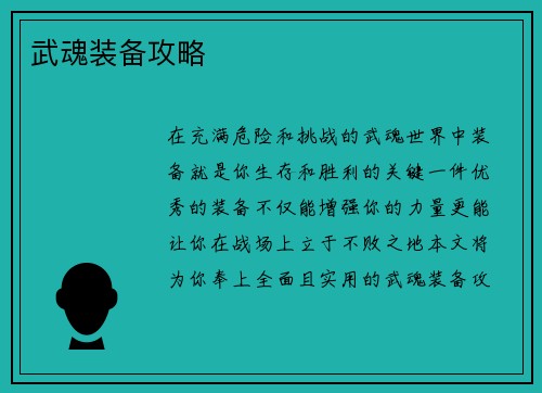 武魂装备攻略
