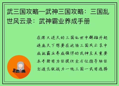 武三国攻略—武神三国攻略：三国乱世风云录：武神霸业养成手册